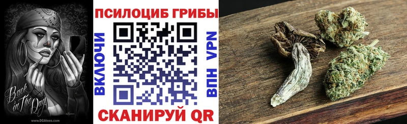 mega рабочий сайт  где продают наркотики  Власиха  Галлюциногенные грибы мицелий 